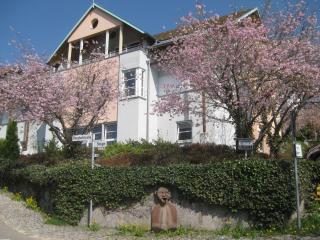 Ferienappartements-Ferienwohnung Steige - Schramberg - 0