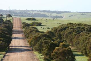 Almonta Park Lodge - Coffin Bay - 9