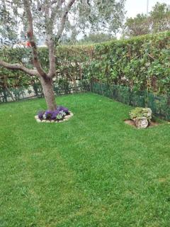 Lavanda & Rosmarino - 7