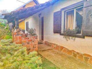 Apartman Nebojša - Rudnik - 9
