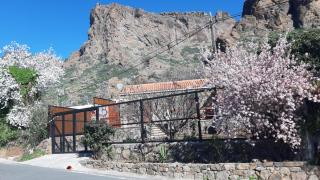 Casa Rural Ayacata - San Bartolomé - 9
