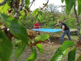 La terra dei ciliegi tra l'Etna e il mare di Taormina - 2
