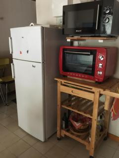 Les pins ensoleilles - Saint-Georges-de-Didonne - 1