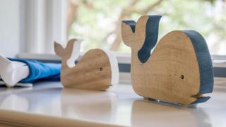 Altes Schulmeisterhaus Wohnung 1 - Oevenum - 7