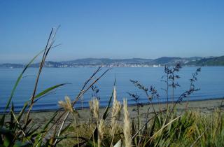 83 By The Sea Motor Lodge - Lower Hutt - 3