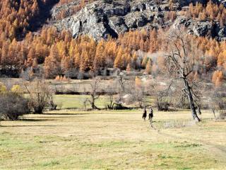 Appartement 3 pièces 6 couchages LA SALLE LES ALPES - FR-1-330F-26 - 9