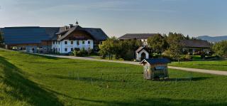 Vorderreithbauer - Hof bei Salzburg - 2