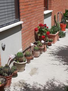 la sterlizia - Porto Recanati - 2
