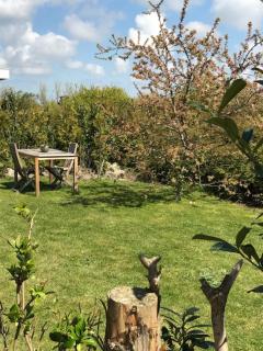 Luxe prive-kamer - studio in villa aan zee, Dishoek, vernieuwd - Dishoek - 2