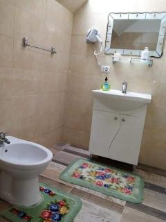 Casa Florilor Barcut - 7