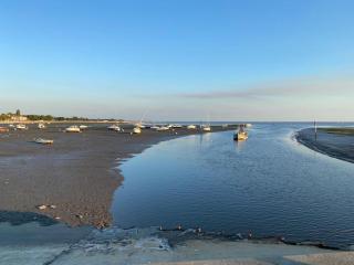 Villa de Gascogne - Lanton - 2