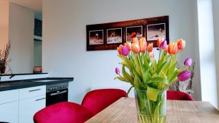 Villa Appartements Syke - Syke - 3