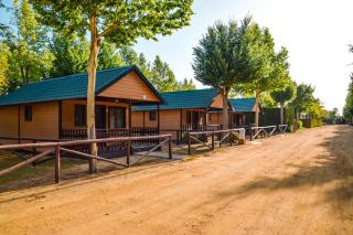 Camping La Aldea - 8