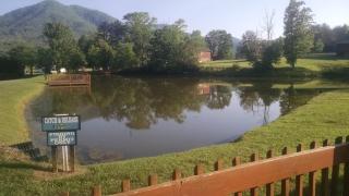Beehive Treehouse - Sevierville - 9
