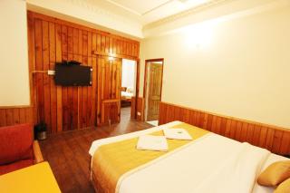 Hotel Snow View Manali - 4
