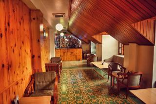 Hotel Snow View Manali - 1