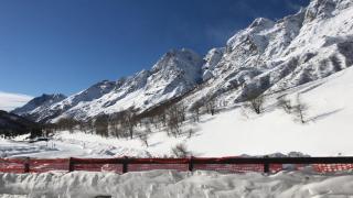 Chat des neiges - Cervinia - Breuil-Cervinia - 9