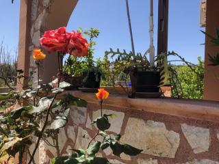VILLA ROSILLA - 1
