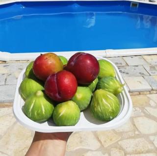 Villa Resilienza - 3