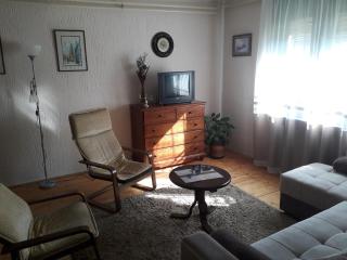Rakić apartman - 7