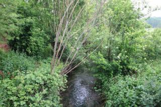 Sauna et jacuzzi - Les mille et une nuits - 2km mer - Le Bourg-Dun - 2