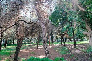 A&B Rhodes city apartments - 2