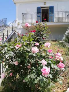 OliveTree House - Vathi - 4