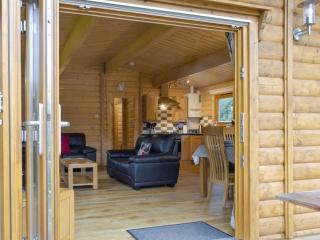 Viaduct Fishery Lodges - Somerton - 2