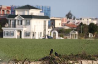 海之風 玫瑰莊園 Sea&Wind Rose Manor - Jinning - 4