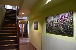 Hotel Deutsche Eiche in Northeim - Northeim - 6
