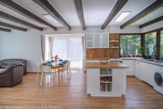 Czarny Kot Mazury Dom Całoroczny - Małkinie - 7
