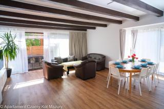 Czarny Kot Mazury Dom Całoroczny - 9