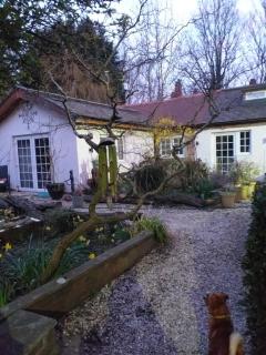 The LITTLE HOUSE in HULL - 8