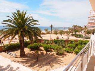 MIRAMAR 7B - Roses - 9