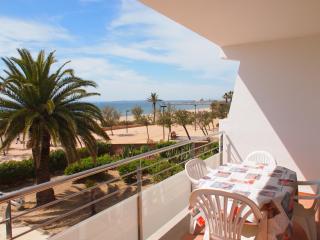 MIRAMAR 7B - Roses - 6