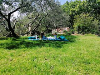 Guesthouse Oliva - Cavtat - 3