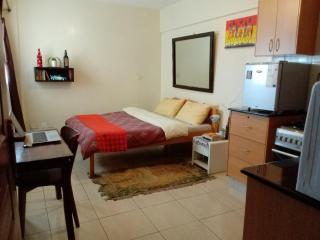 Budget Studio Apartment - Furnished, with Fast Wifi and Netflix - Nairobi - 9