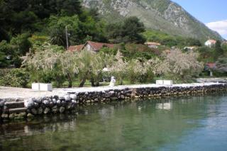 Apartment Pinebreeze - Prčanj - Kotor - Kotor - 4