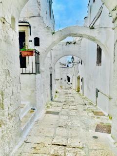 WHITE STONE- La nicchia - 1