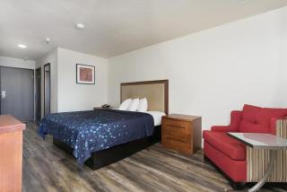Waterloo Inn - Stockton - 5
