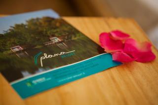 Plana Resort & SPA - 9