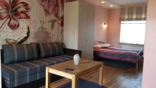 Abariaus Apartamentai - Druskininkai - 7