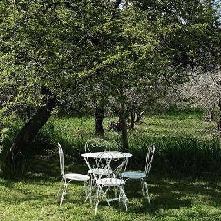 Lemon Tree Boutique Guest House - Todi - 6