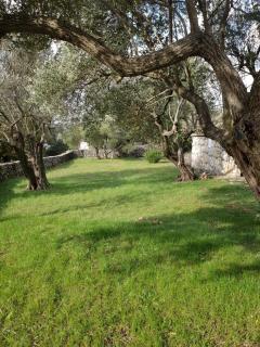 Beautiful house/villa Arboretum - Maslenica - 3