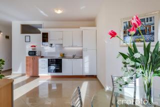 Apartmani Niko - Kožino - 1