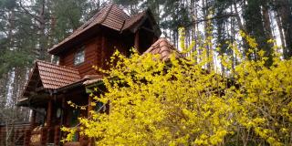Villa Georgia - 9
