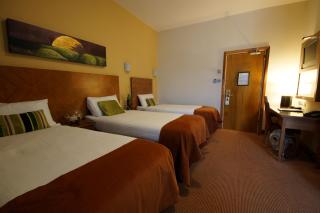 Treacys Hotel & Leisure Centre Waterford - Waterford - 6