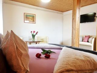 Balaton Apartman Paloznak - Paloznak - 6
