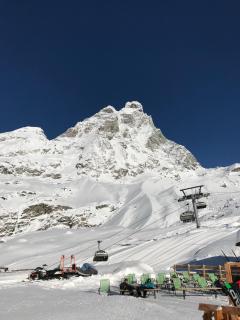 Chat des neiges - Cervinia - Breuil-Cervinia - 0