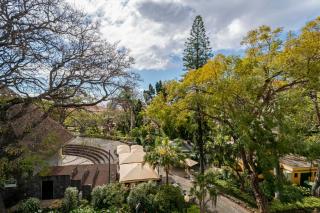 Madeira Gems Apartments - Funchal - 7